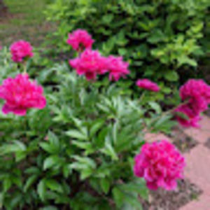 Meet your Posher, Mihaela